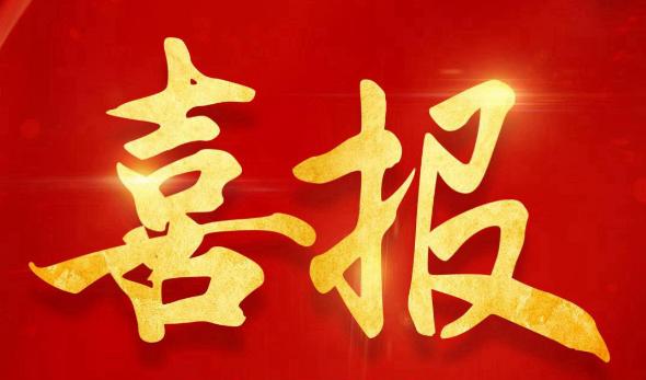 双誉齐辉——mg冰球突破公司荣获安徽省公共资源生意领域“双项殊荣”